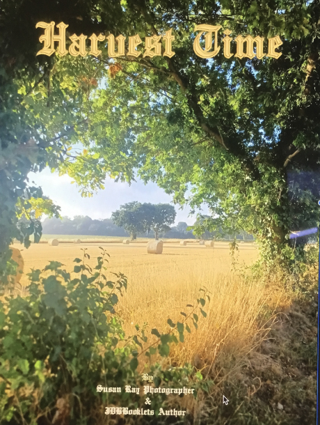 Harvest Time by David Buettner